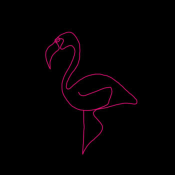 Flamingo Print - Kids Crew Neck Design
