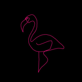 Flamingo Print - Kids T-shirt Design